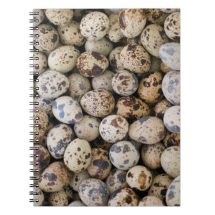 Quail Eggs, Huaraz, Cordillera Blanca, Ancash Notebook