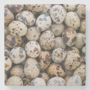 Quail Eggs, Huaraz, Cordillera Blanca, Ancash Stone Coaster
