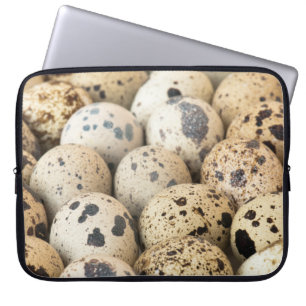 Quail Eggs Laptop Sleeve