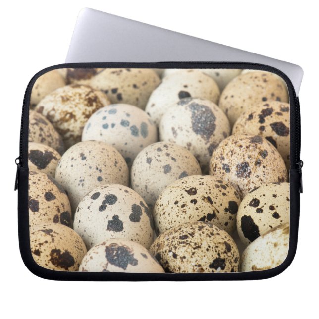 Quail Eggs Laptop Sleeve (Front)
