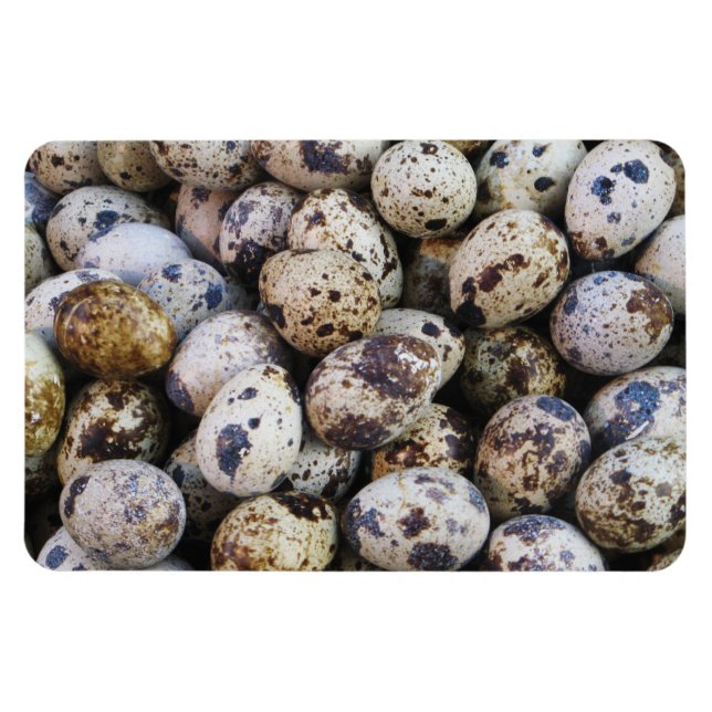 Quail Eggs Magnet (Horizontal)