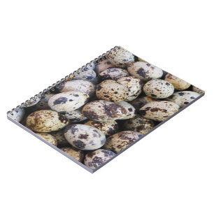 Quail Eggs Notebook