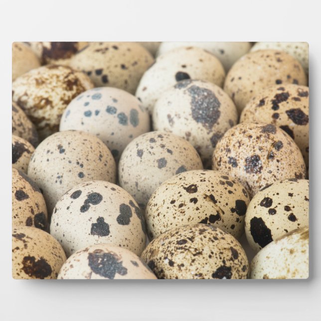 Quail Eggs Plaque (Front)