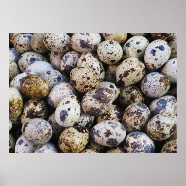 Quail Eggs Poster (Front)