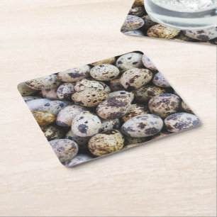 Quail Eggs Square Paper Coaster