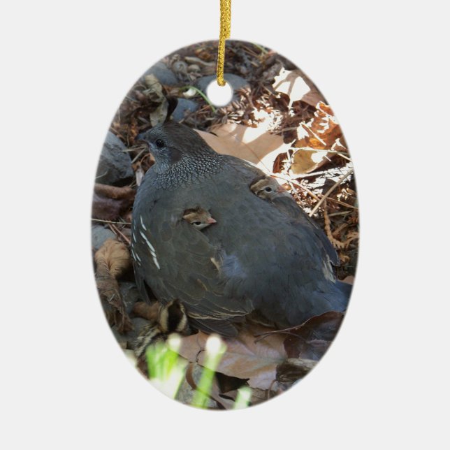 Quail Family Ceramic Tree Decoration (Front)