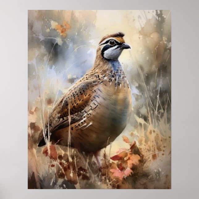 Quail Farm Animal Art Print Poster (Front)