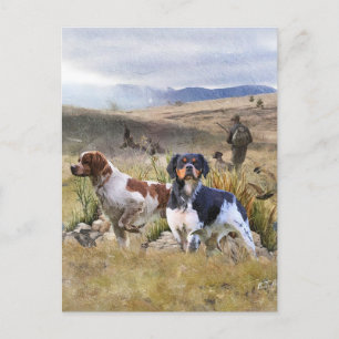 Quail Hunting with a Brittany Spaniels, Art  Postcard