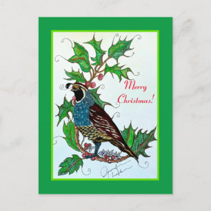 Quail in Holly  Postcard