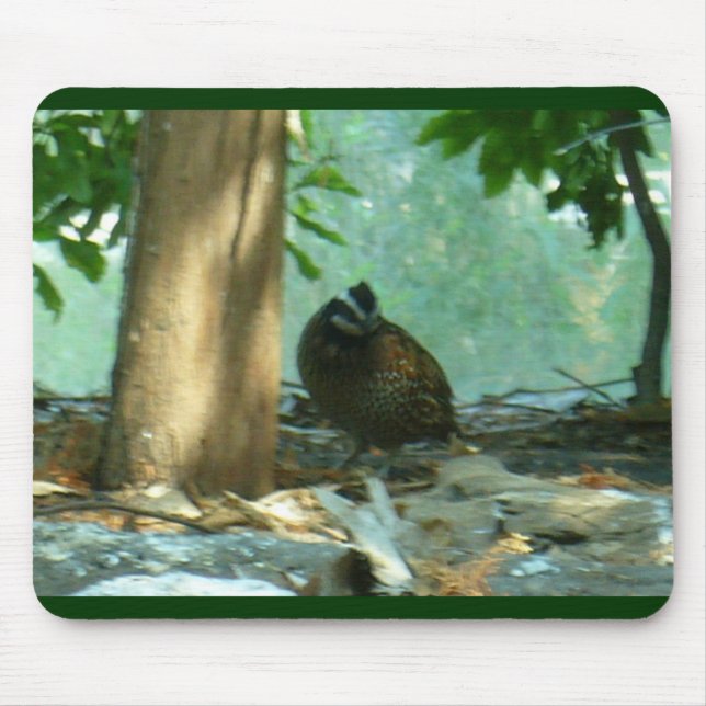Quail Mouse Pad (Front)