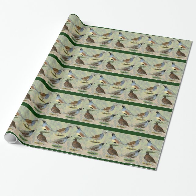 Quail Quartet Wrapping Paper (Unrolled)