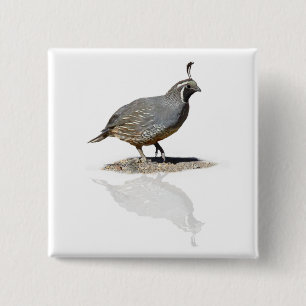 QUAIL REFLECTED 15 CM SQUARE BADGE