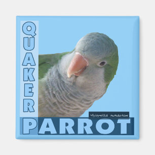 Quaker Parakeet Photo Magnet
