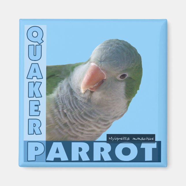 Quaker Parakeet Photo Magnet (Front)
