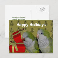 Quaker Parrot Christmas Holiday Postcard