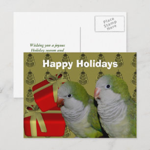 Quaker Parrot Christmas Holiday Postcard