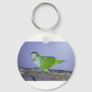Quaker Parrot Key Ring