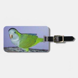 Quaker Parrot Luggage Tag