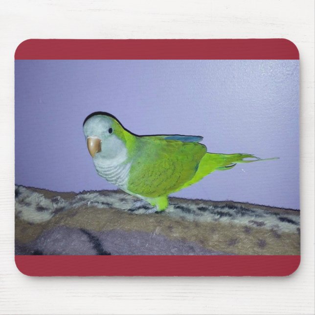 Quaker Parrot Mousepad (Front)