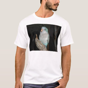 quaker parrot T-Shirt