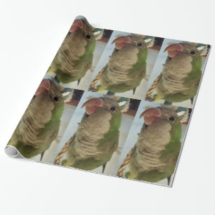 Quaker Parrot Wrapping Paper