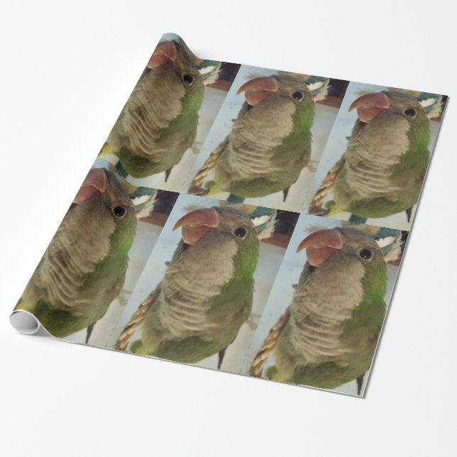 Quaker Parrot Wrapping Paper (Unrolled)