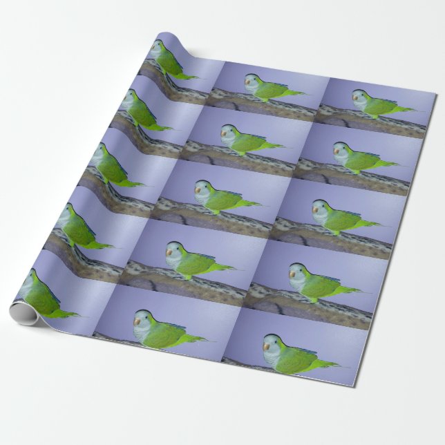 Quaker Parrot Wrapping Paper (Unrolled)