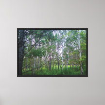 Quakies Stretched Canvas Print