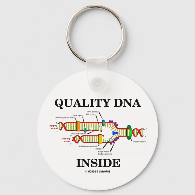 Quality DNA Inside (DNA Replication) Key Ring (Front)