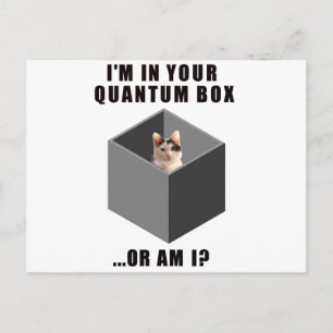 Quantum Cat Postcard