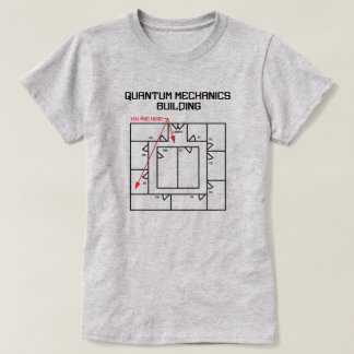 Quantum Mechanics Building T-Shirt