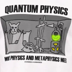 Quantum Physics Where Physics And Metaphysics Meet T-Shirt
