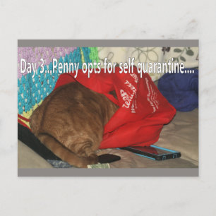 Quarentine Postcard