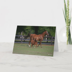 Quarter Horse and Miniature Together Card
