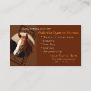 Quarter Horse & Colt Business Cards-1-customise Card