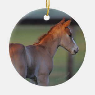 Quarter Horse Foal Ceramic Tree Decoration