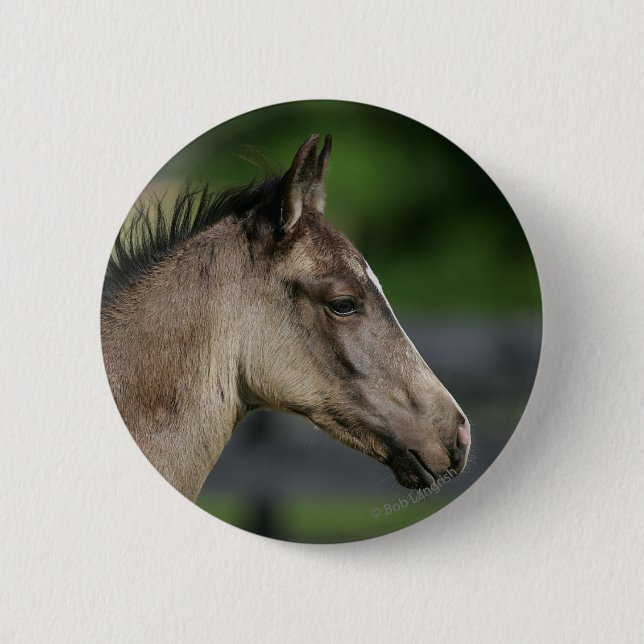 Quarter Horse Foal Headshot 6 Cm Round Badge (Front)
