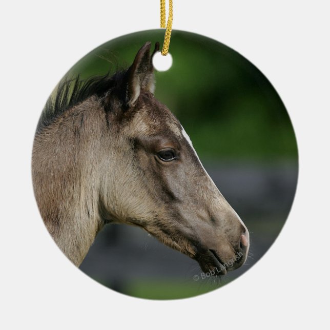 Quarter Horse Foal Headshot Ceramic Tree Decoration (Front)