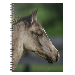Quarter Horse Foal Headshot Notebook