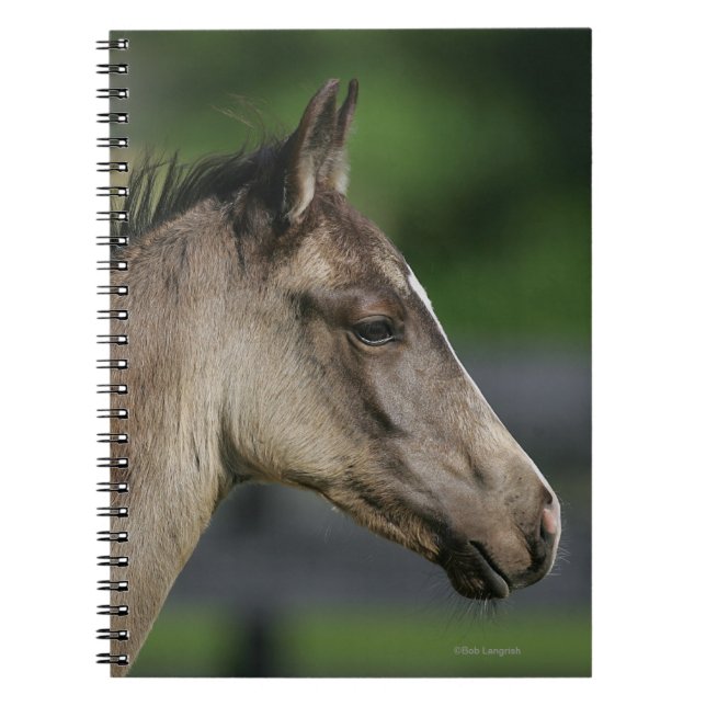 Quarter Horse Foal Headshot Notebook (Front)