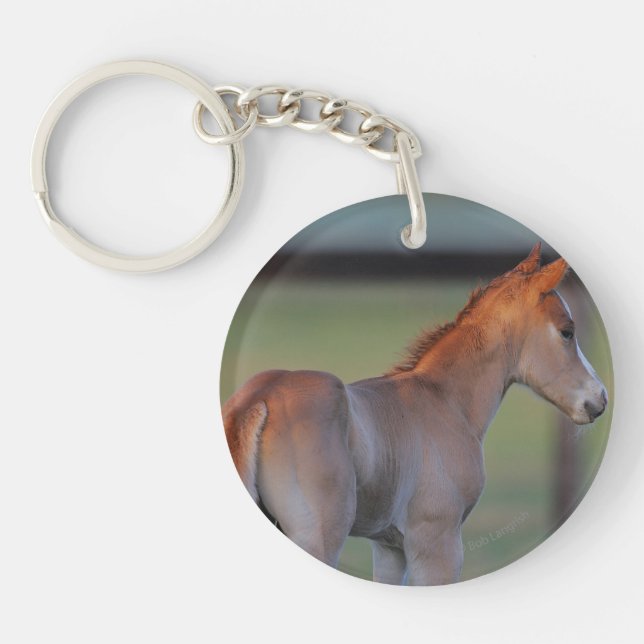 Quarter Horse Foal Key Ring (Front)