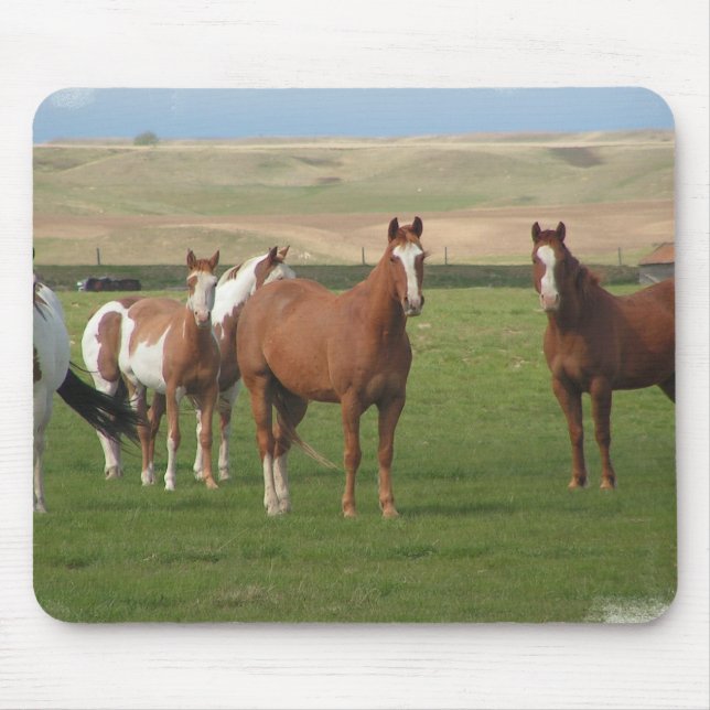 Quarter Horse Herd Mouse Pad  (Front)