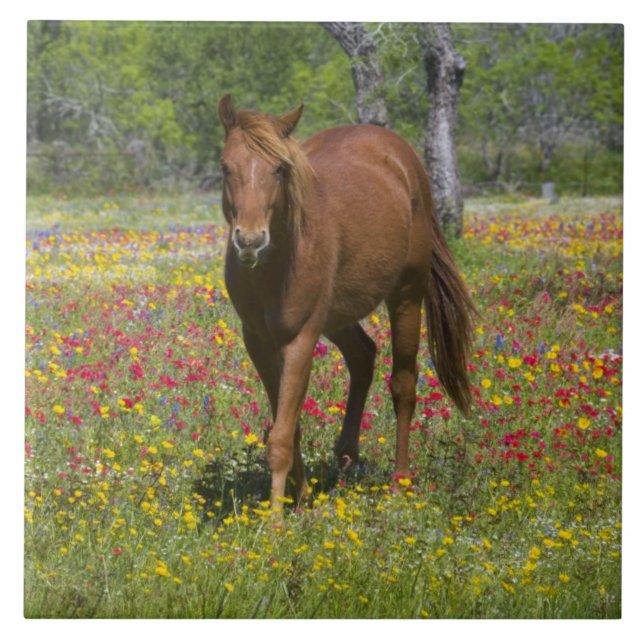 Quarter Horse in Field of Wildflowers Ceramic Tile (Front)