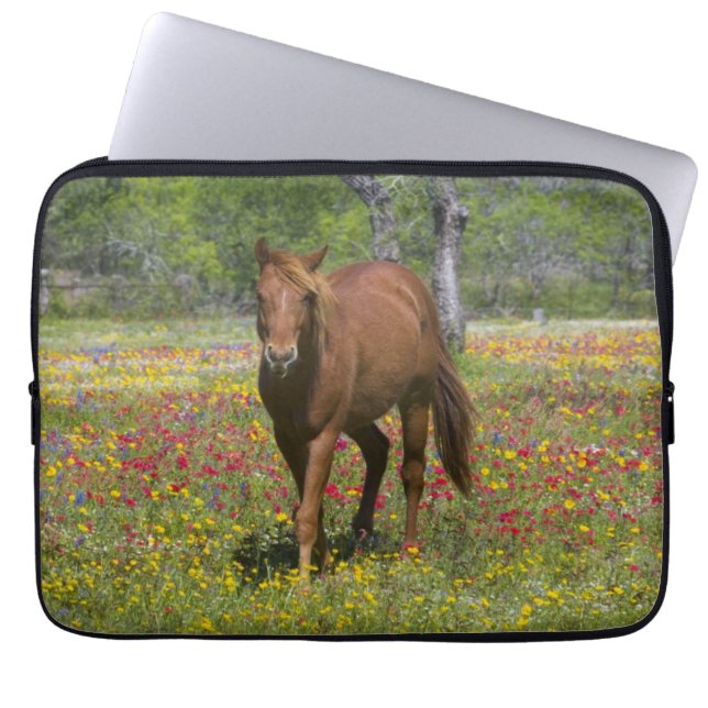 Quarter Horse in Field of Wildflowers Laptop Sleeve (Front)