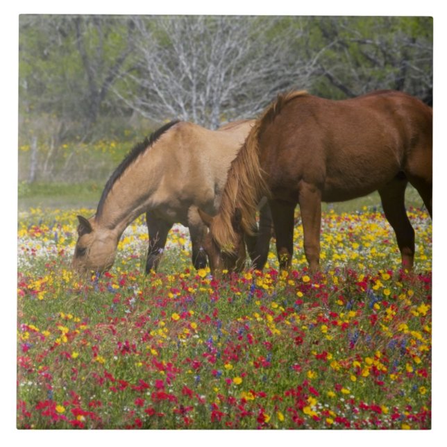 Quarter Horse in field of wildflowers near Cuero Ceramic Tile (Front)