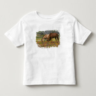 Quarter Horse in field of wildflowers near Cuero Toddler T-Shirt