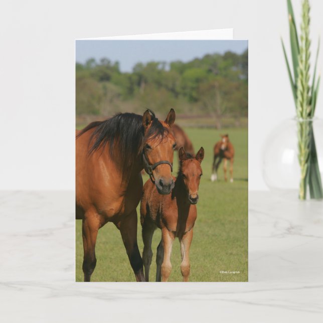 Quarter Horse Mare And Foal Standing Card (Front)