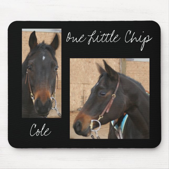 Quarter Horse Mousepad (Front)
