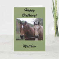 Quarter Horse Personalised Birthday Card