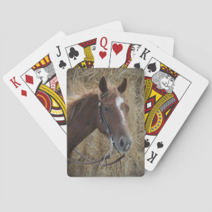 Quarter Horse Playing Cards